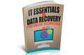 IT Essentials And Data Recovery For Online Businesses