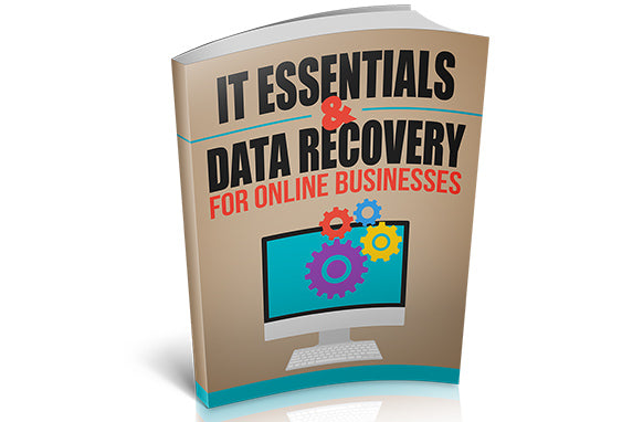 IT Essentials And Data Recovery For Online Businesses