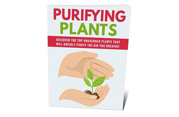 Purifying Plants
